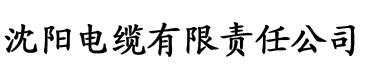 理论片免费全部电缆厂logo